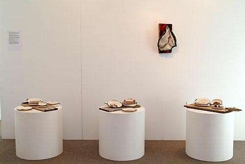 Phillipa Durkin ceramic artwork, Installation photo, Gilberd Marriott Gallery 2009